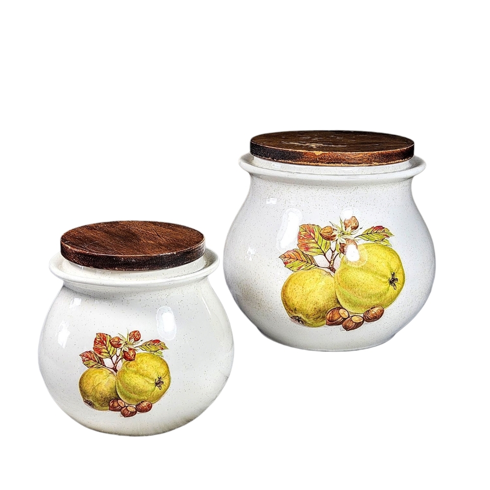 Vintage Hyalyn USA Pottery Canister Set Of 2 Chestnuts Fruit 70s Retro